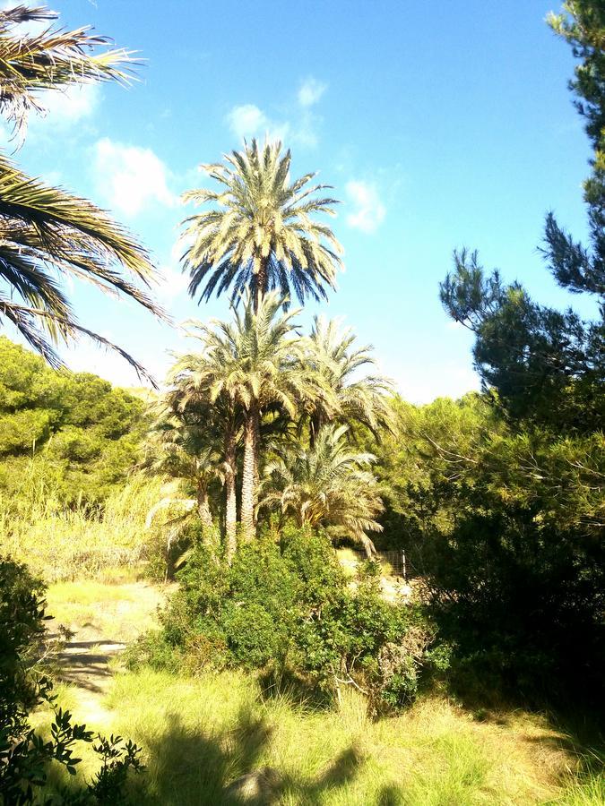Apartament Playa Arenales Lägenhet Arenales del Sol Exteriör bild